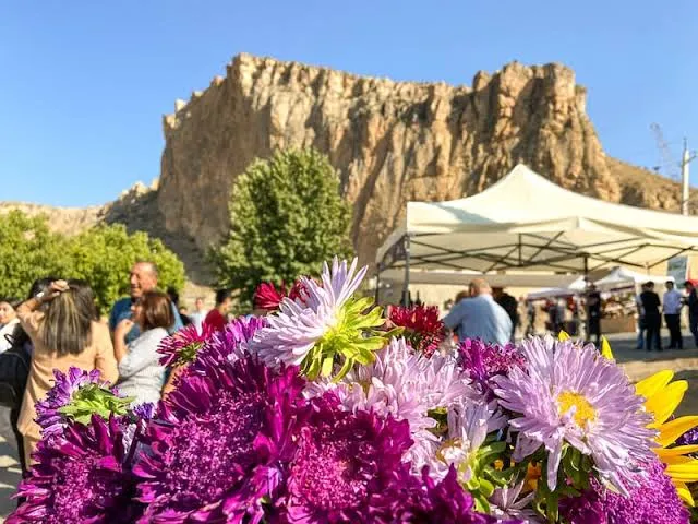 Areni Wine Festival & Wine Heritage Tour